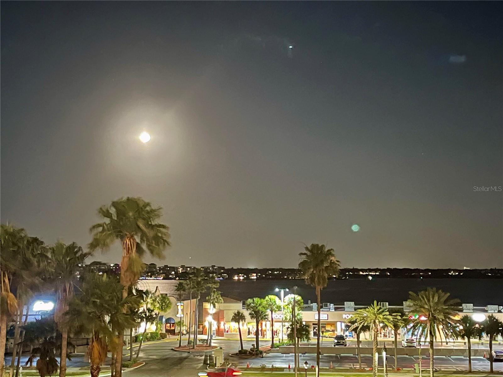 1230 GULF BLVD #508, CLEARWATER BEACH, FL, 33767