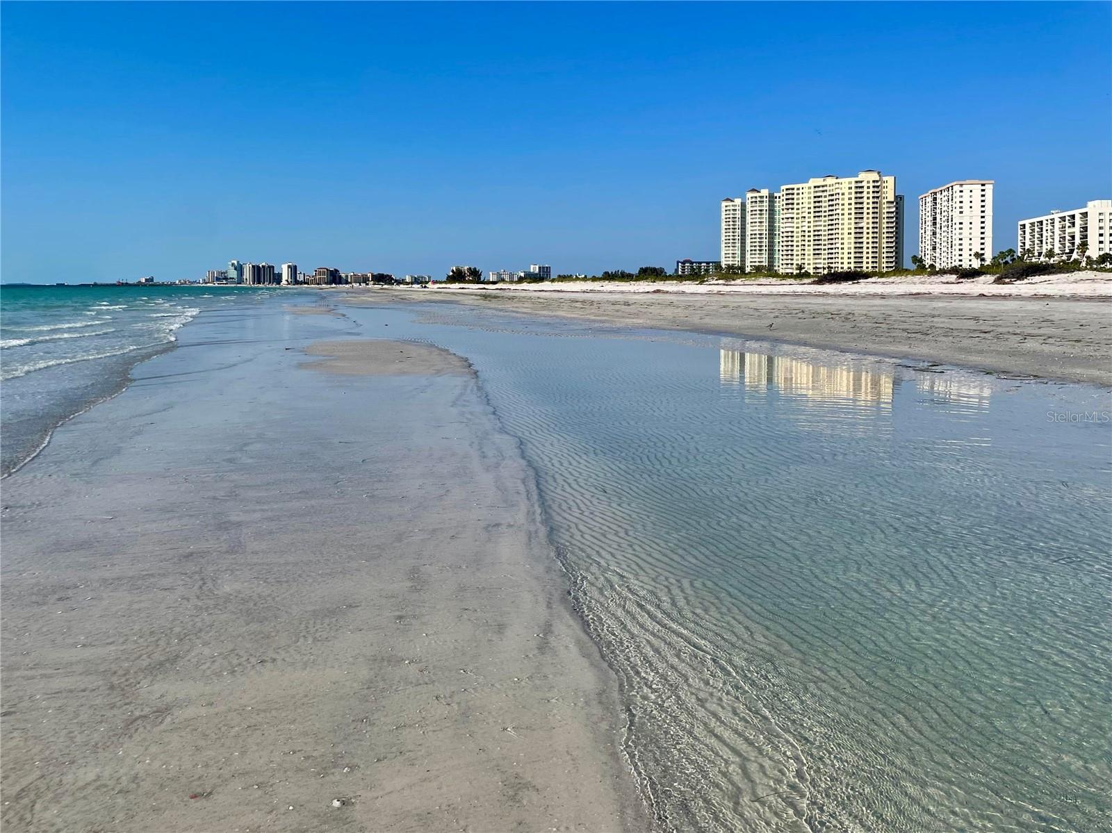 1230 GULF BLVD #508, CLEARWATER BEACH, FL, 33767