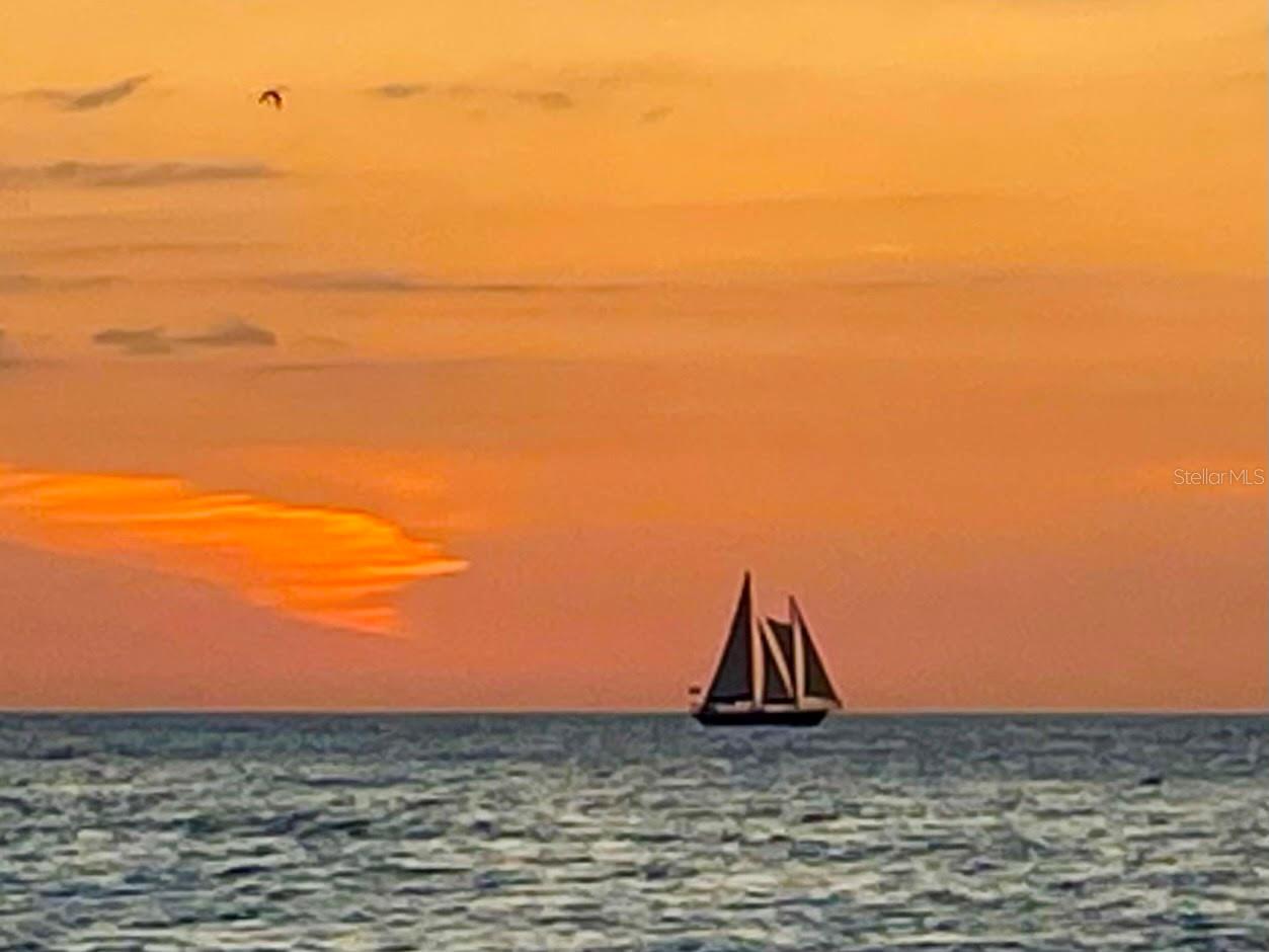1230 GULF BLVD #508, CLEARWATER BEACH, FL, 33767