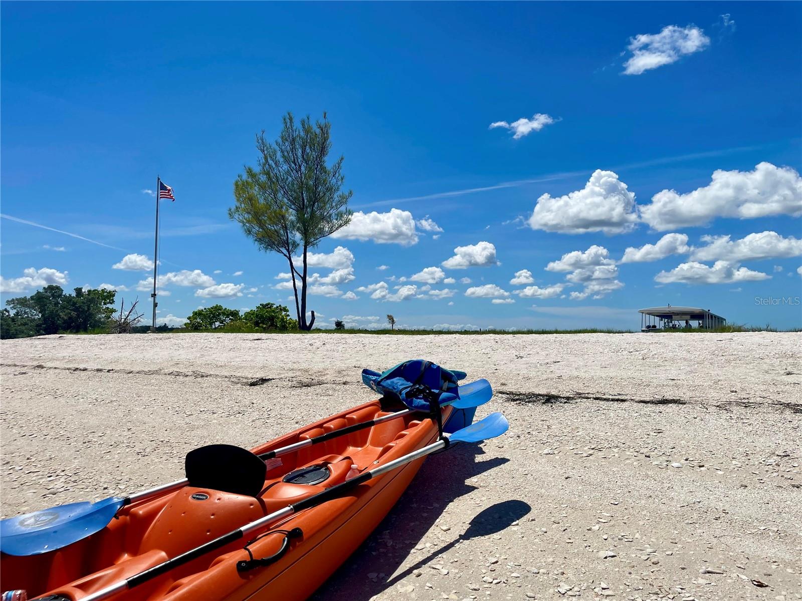 1230 GULF BLVD #508, CLEARWATER BEACH, FL, 33767