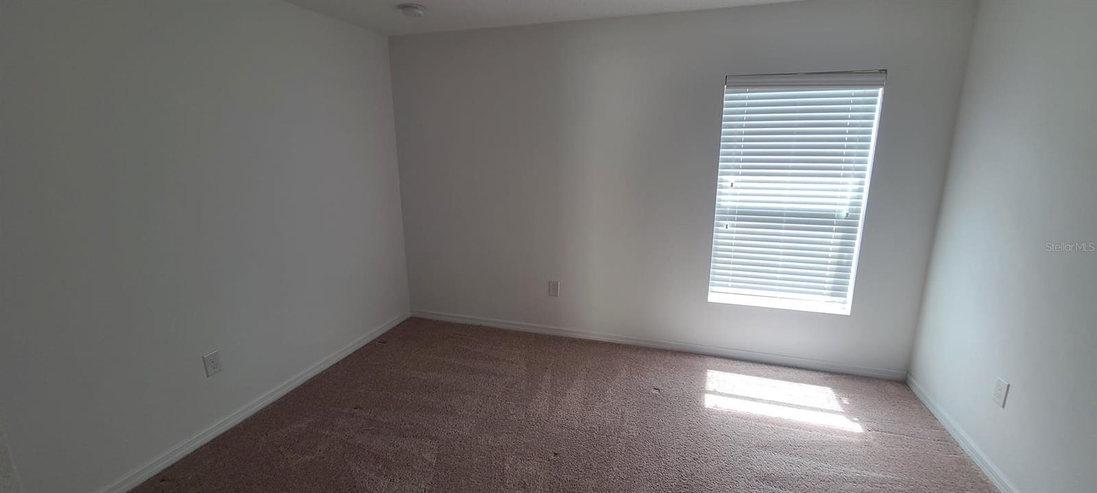 10714 CABBAGE TREE LOOP, ORLANDO, FL, 32825