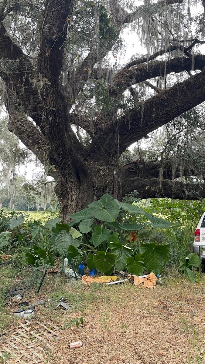 14825 NW 42ND CT, REDDICK, FL, 32686