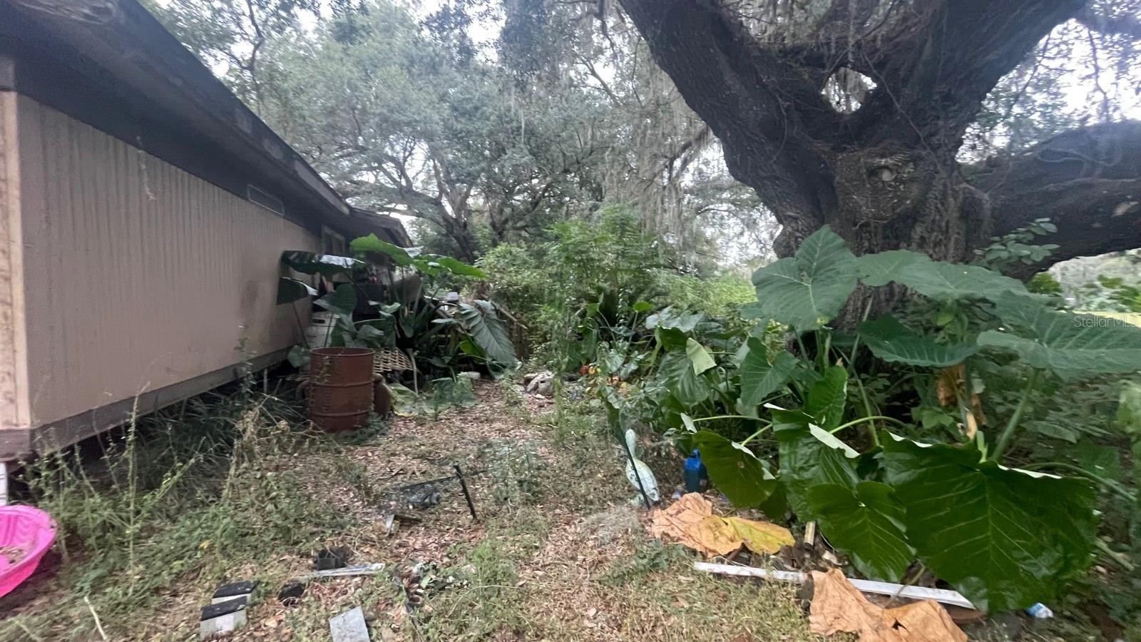14825 NW 42ND CT, REDDICK, FL, 32686