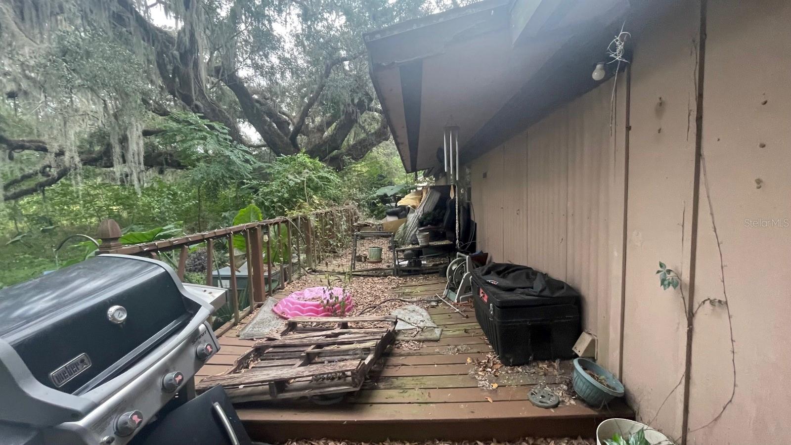 14825 NW 42ND CT, REDDICK, FL, 32686