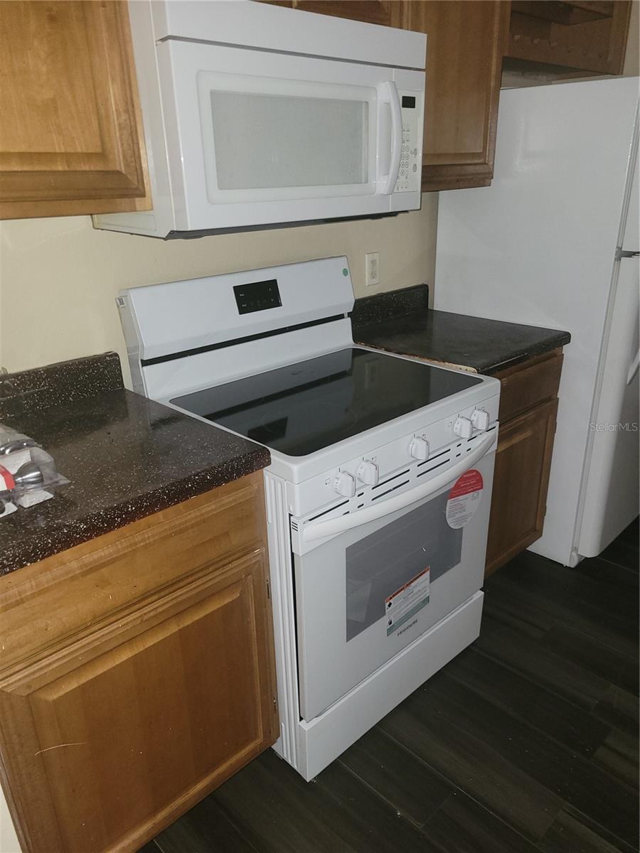 18145 BRIDLE CLUB DR #18145, TAMPA, FL, 33647
