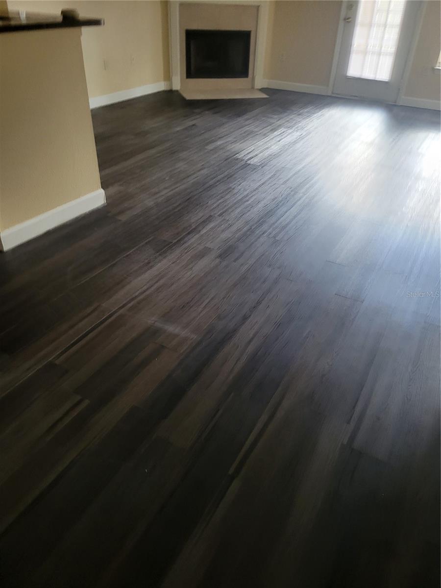 18145 BRIDLE CLUB DR #18145, TAMPA, FL, 33647
