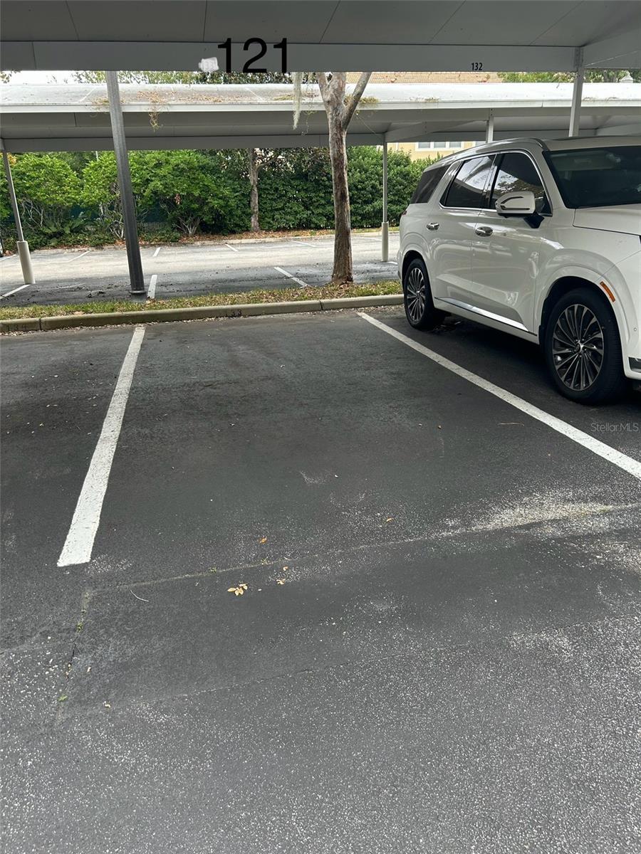 3368 ROBERT TRENT JONES DR #206, ORLANDO, FL, 32835