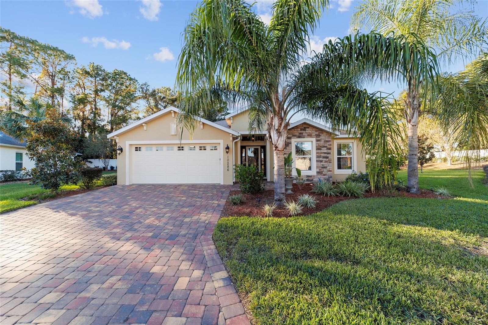 10286 JULIA ISLES AVE, OXFORD, FL, 34484