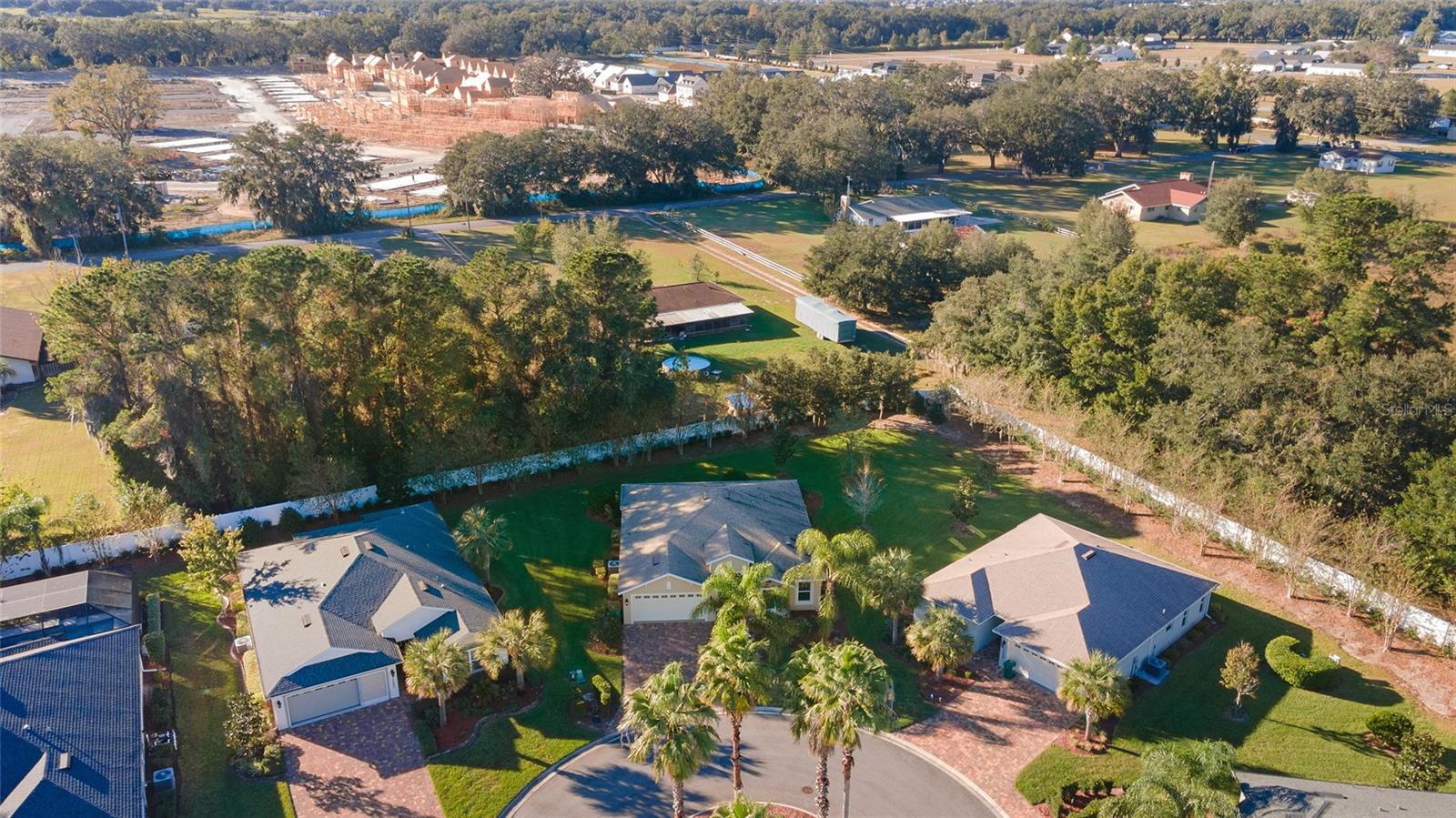 10286 JULIA ISLES AVE, OXFORD, FL, 34484