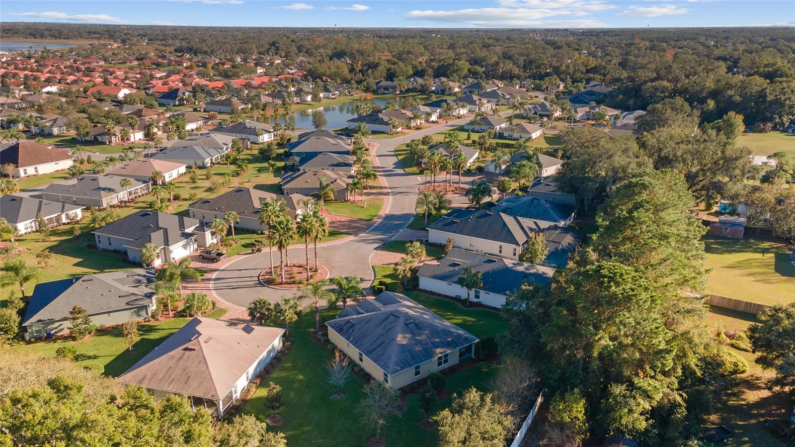 10286 JULIA ISLES AVE, OXFORD, FL, 34484