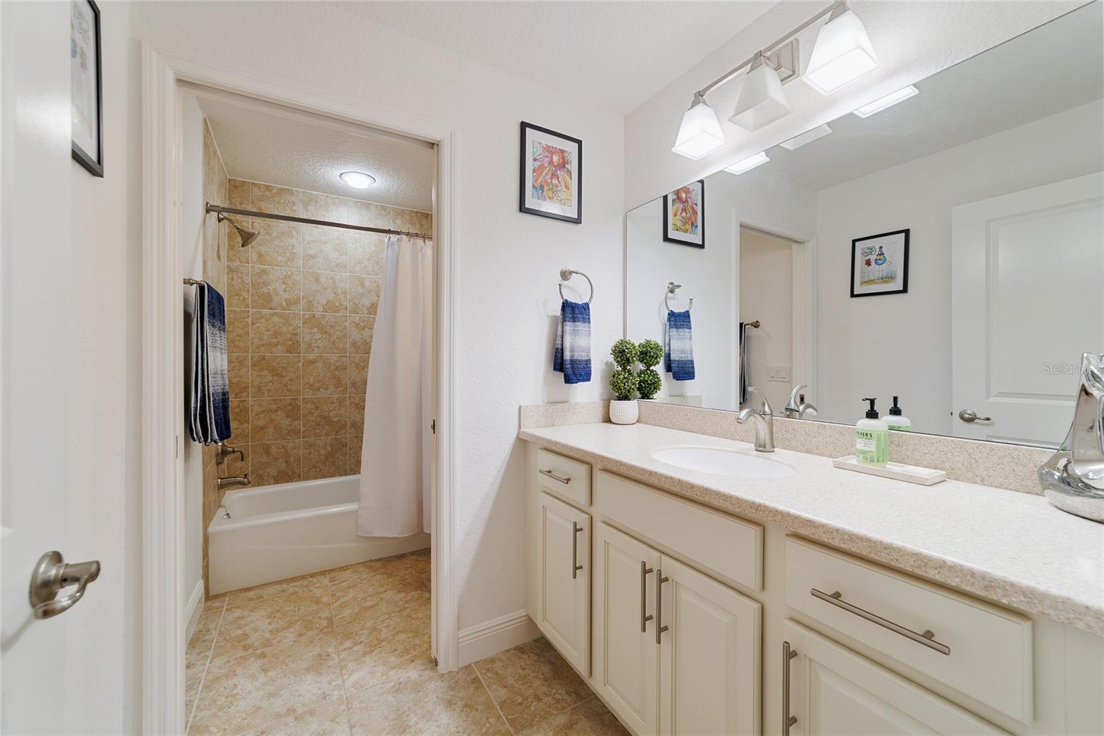 10286 JULIA ISLES AVE, OXFORD, FL, 34484