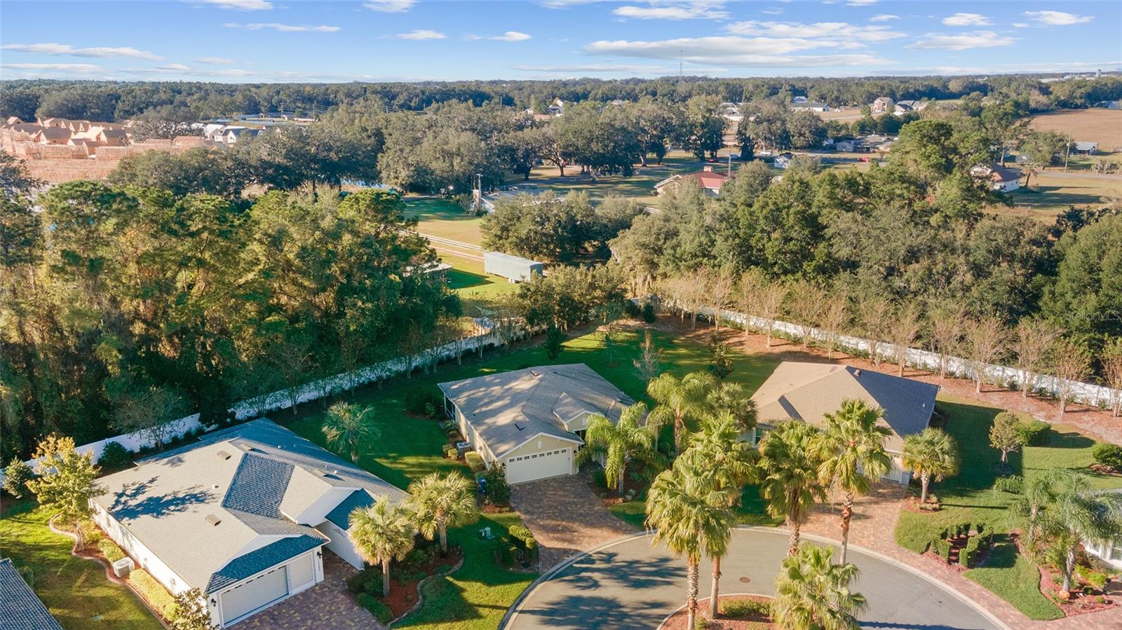 10286 JULIA ISLES AVE, OXFORD, FL, 34484