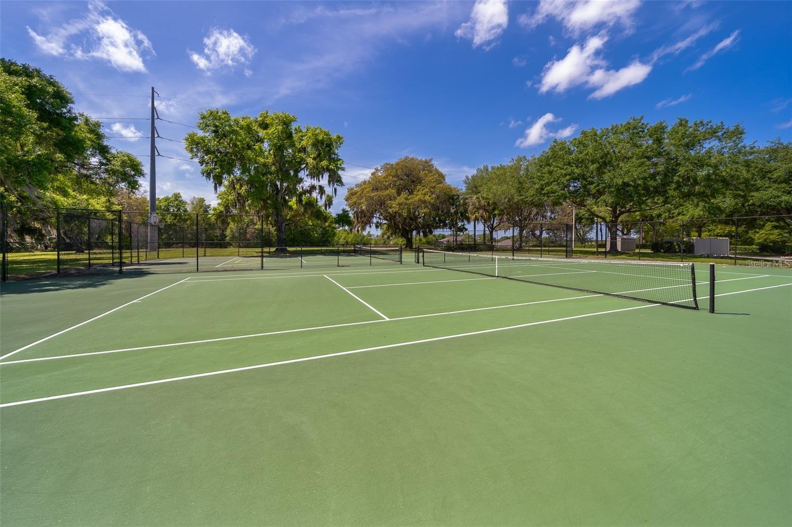23618 COMPANERO DR, SORRENTO, FL, 32776