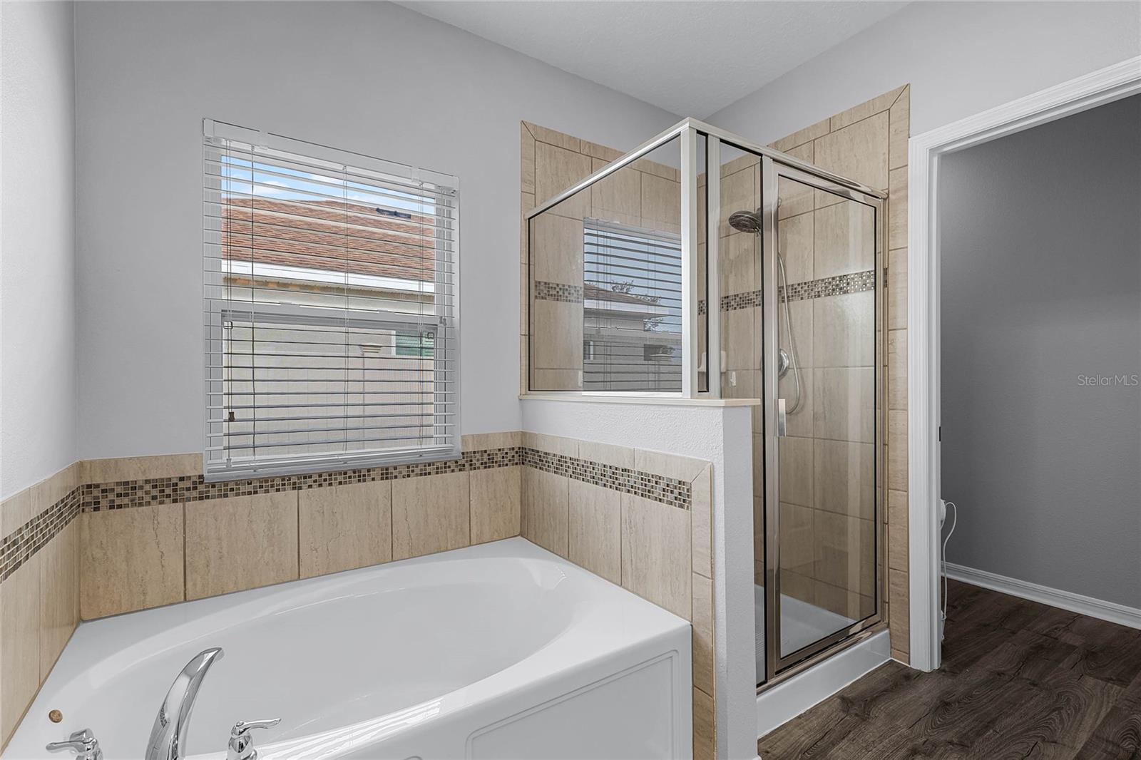 23618 COMPANERO DR, SORRENTO, FL, 32776