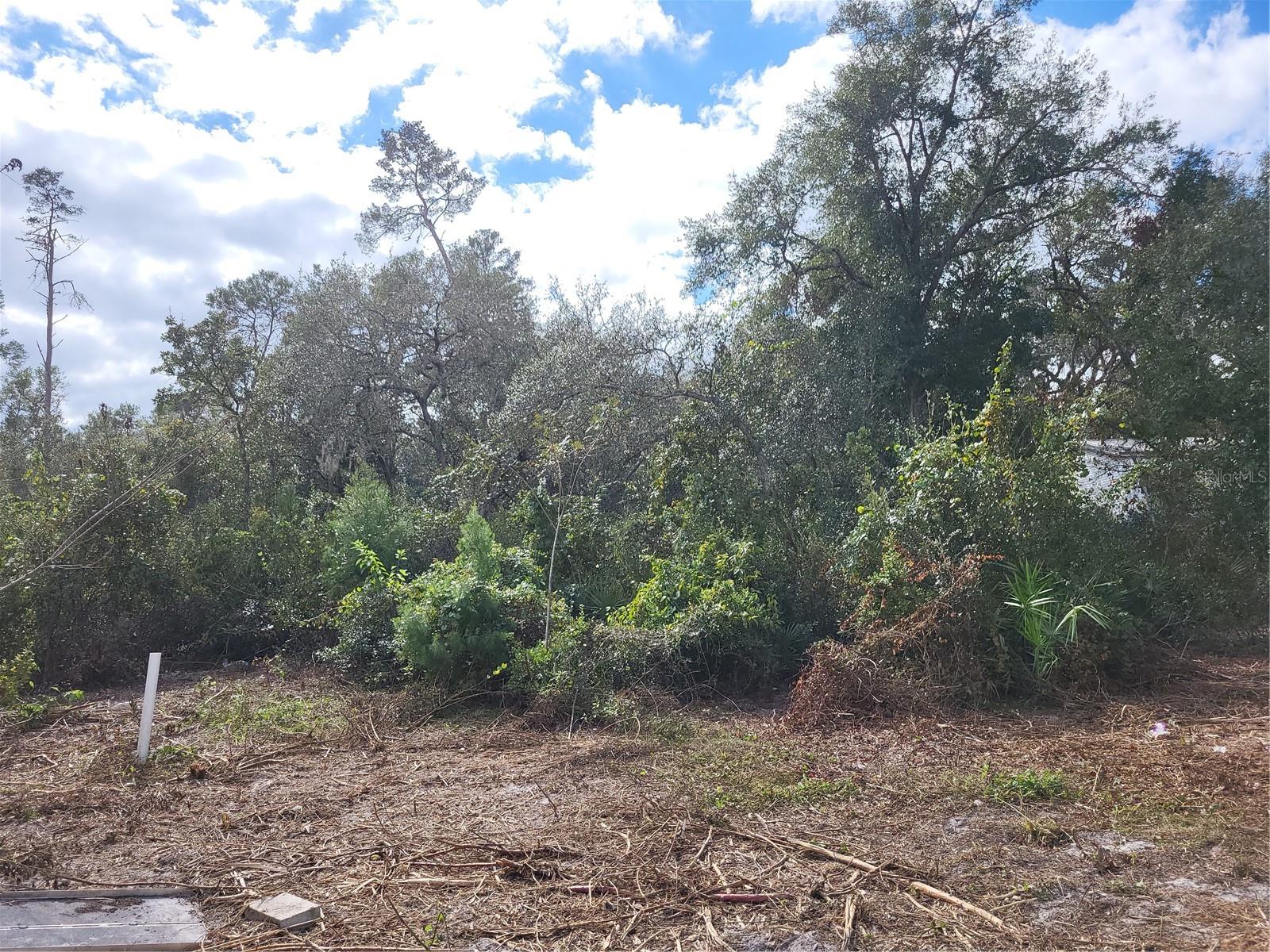33254 OAKWOOD RD, DELAND, FL, 32720