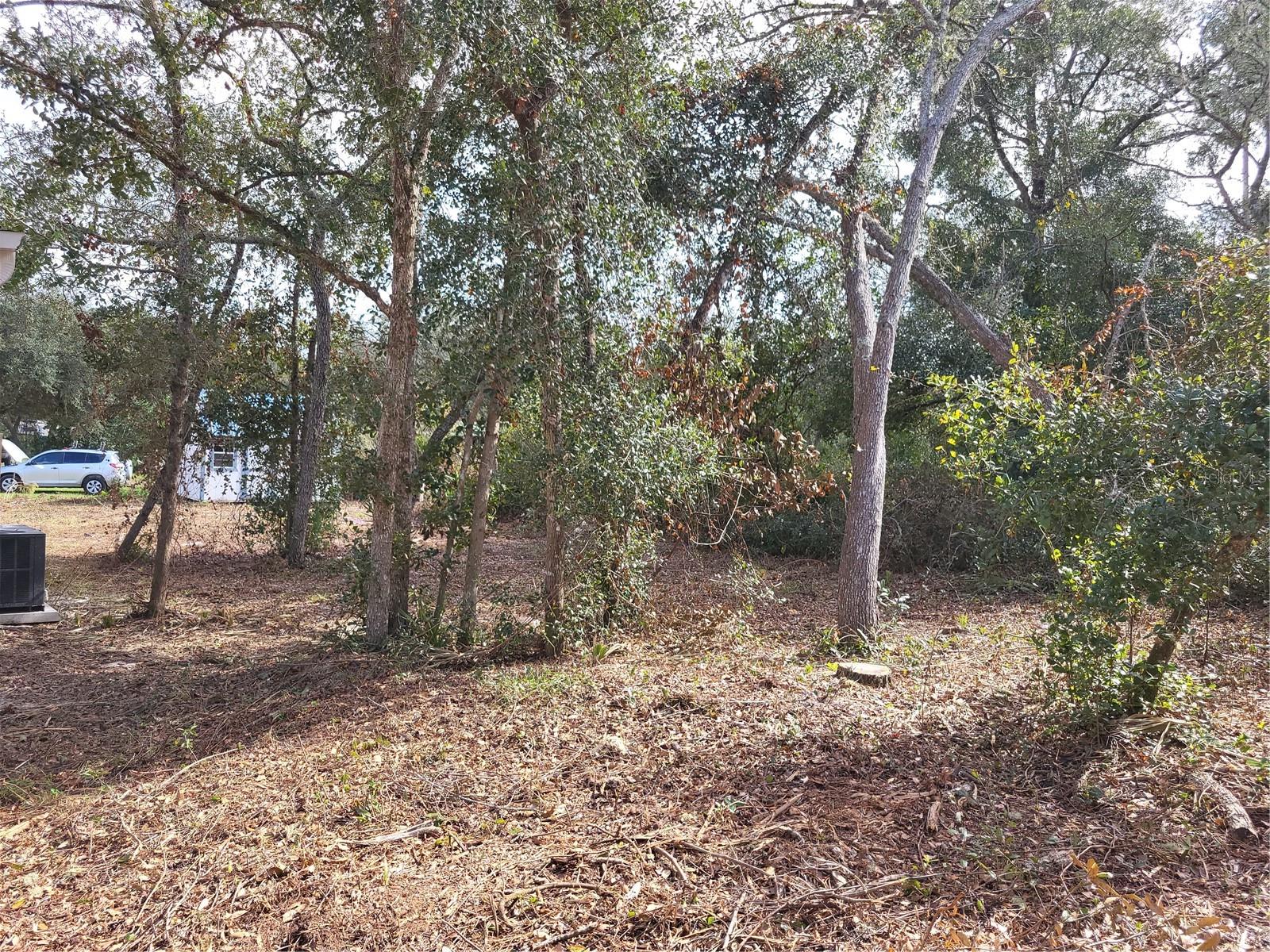 33254 OAKWOOD RD, DELAND, FL, 32720
