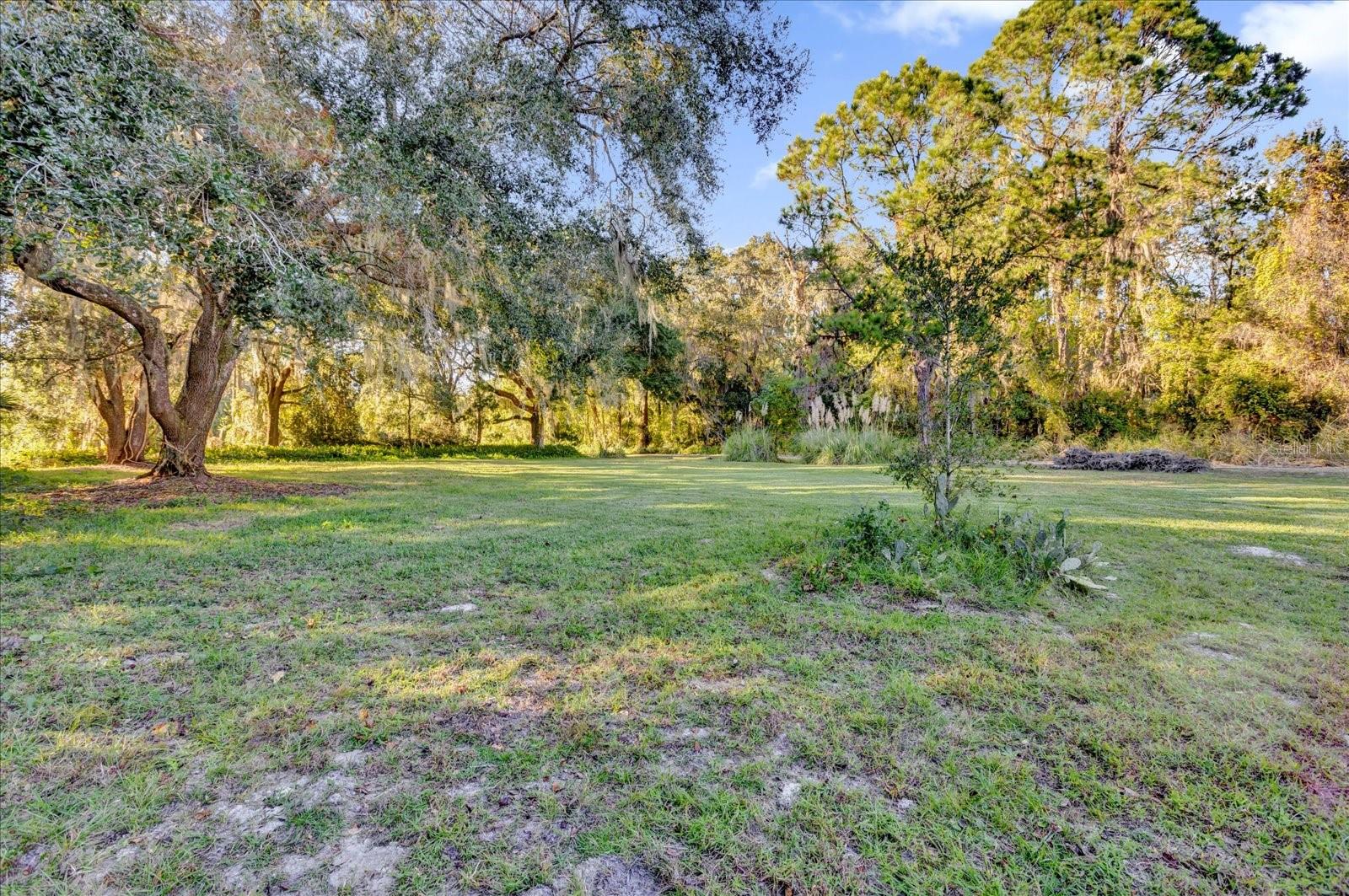 107 PIQUE RD, CRESCENT CITY, FL, 32112