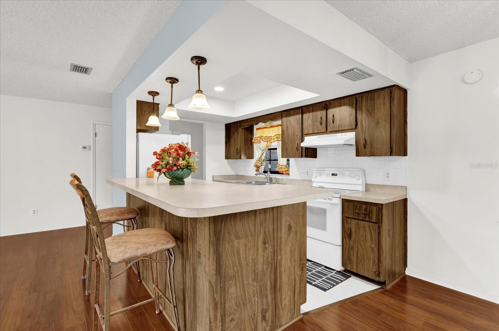 107 PIQUE RD, CRESCENT CITY, FL, 32112