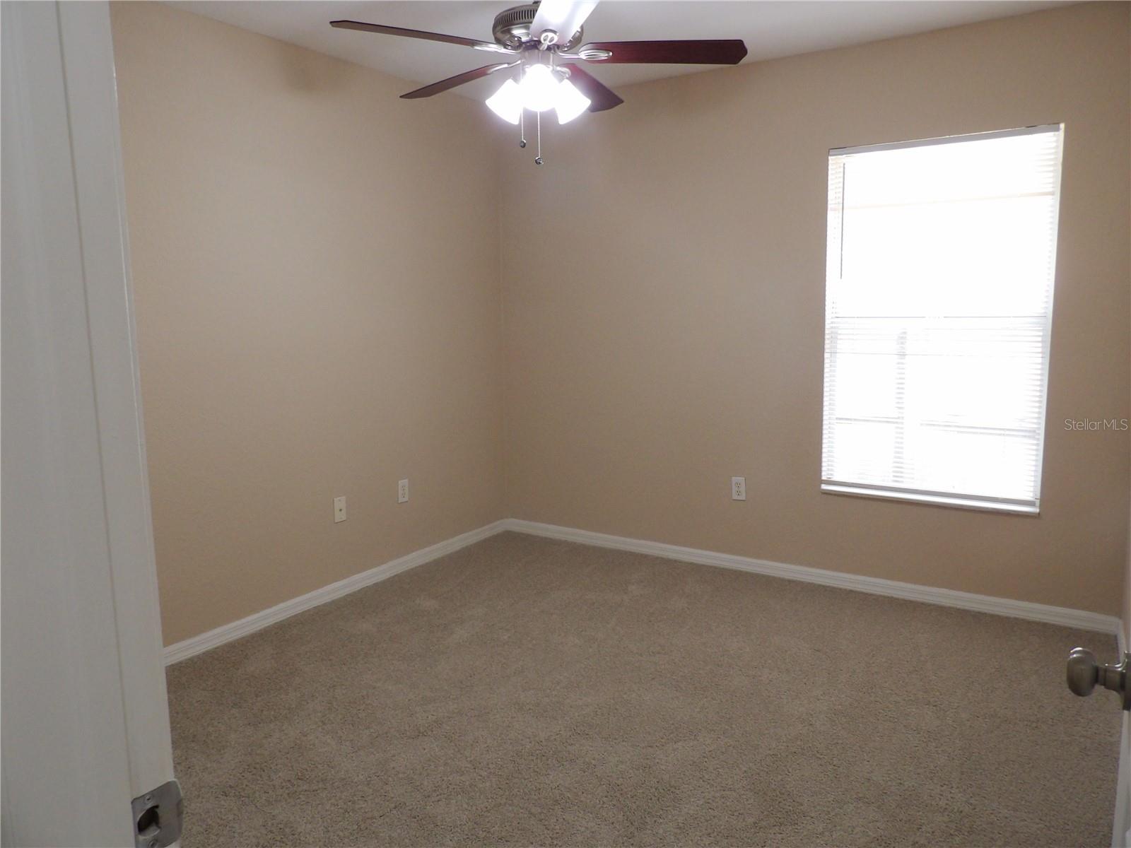 3605 E DIANA ST, TAMPA, FL, 33610