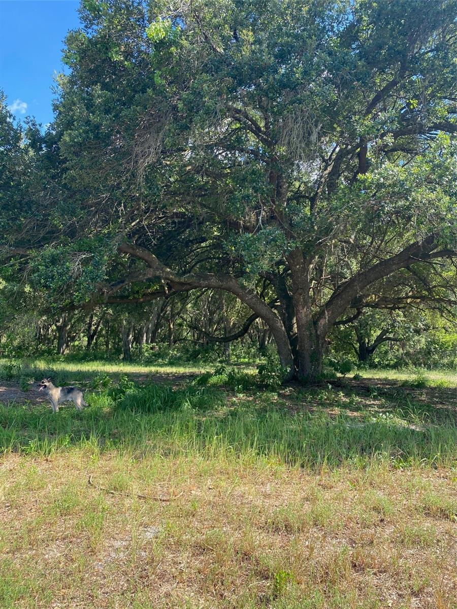 GREENBRIAR RD, LAKELAND, FL, 33810