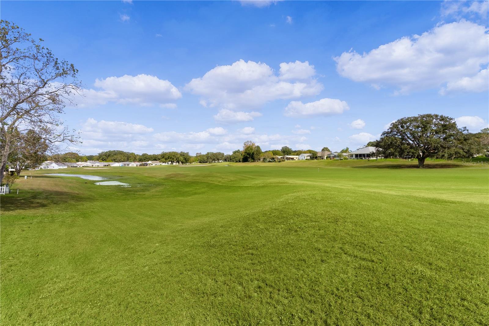1615 MAGNOLIA AVE, THE VILLAGES, FL, 32159