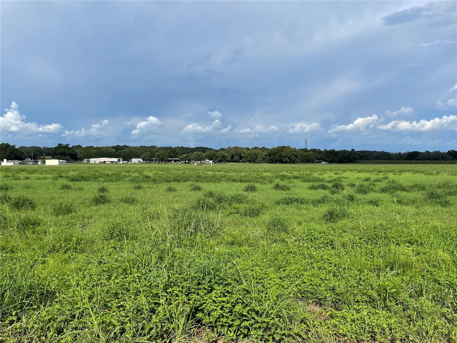 CHARLES OSBORNE RD, UMATILLA, FL, 32784