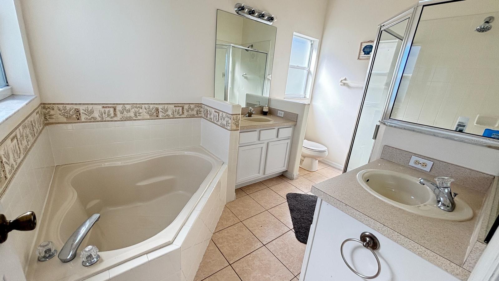 16732 GLENBROOK BLVD, CLERMONT, FL, 34714