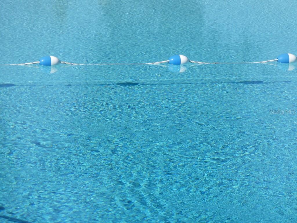 4801 AIRPORT RD #216, ZEPHYRHILLS, FL, 33542