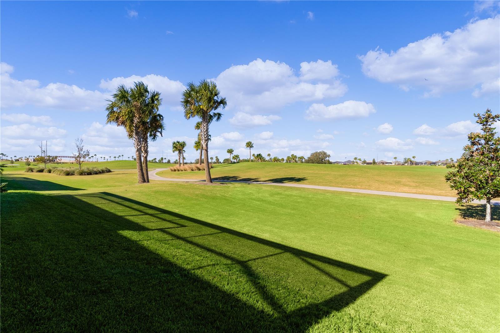 6074 MULLIGAN RUN, THE VILLAGES, FL, 32163