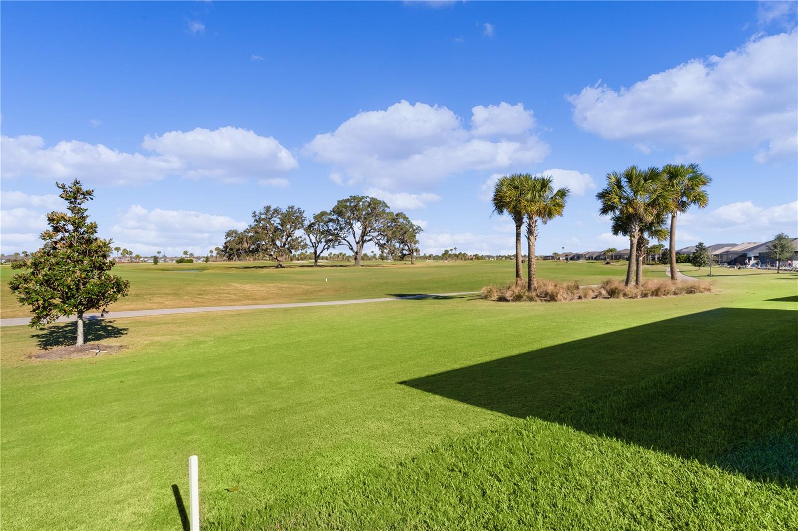 6074 MULLIGAN RUN, THE VILLAGES, FL, 32163