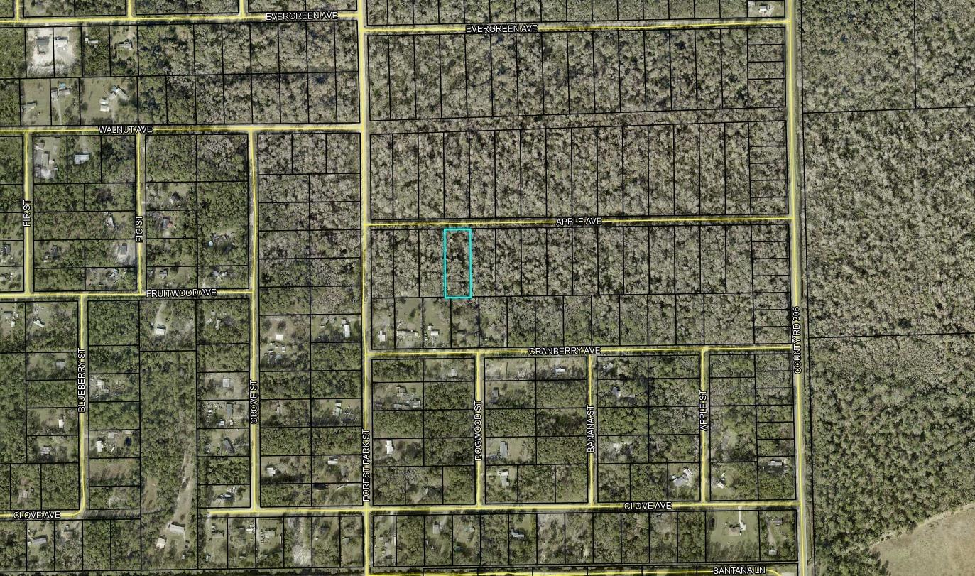 3853 APPLE AVE, BUNNELL, FL, 32110