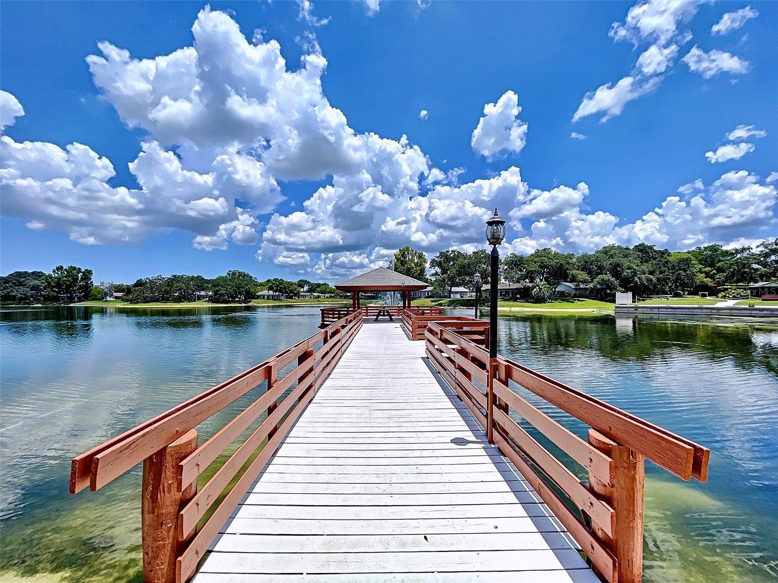 11015 ROLLINGWOOD DR, PORT RICHEY, FL, 34668