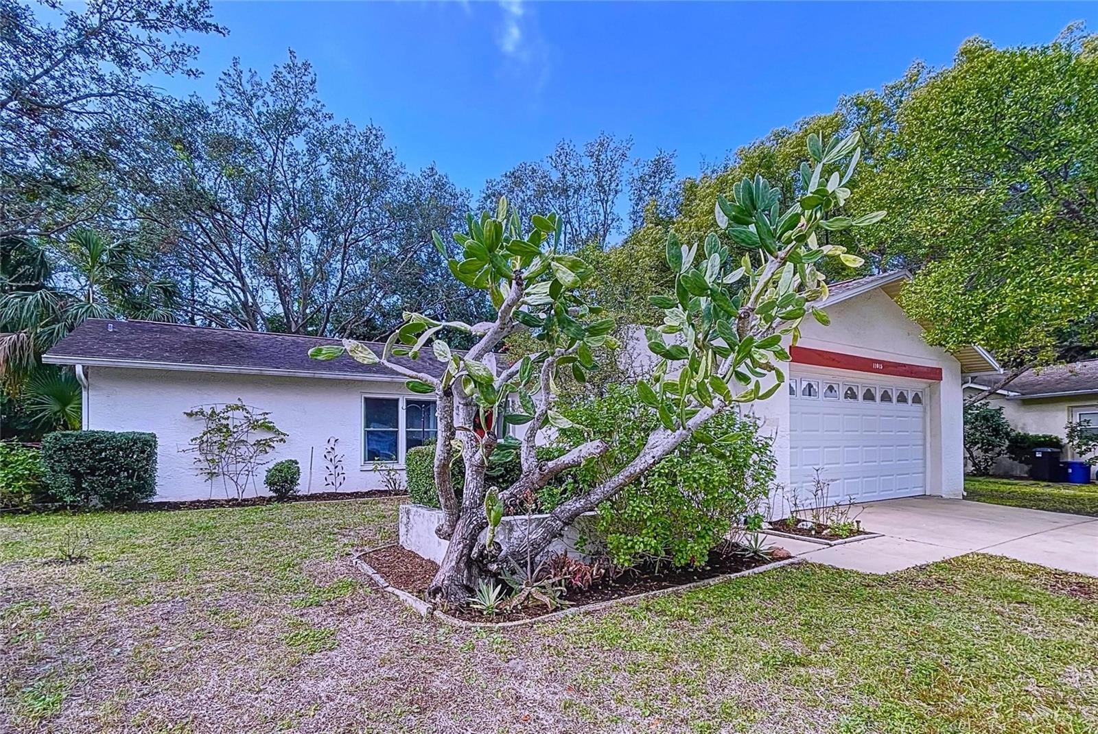 11015 ROLLINGWOOD DR, PORT RICHEY, FL, 34668