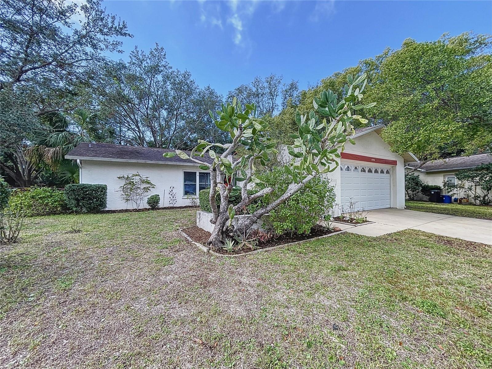 11015 ROLLINGWOOD DR, PORT RICHEY, FL, 34668