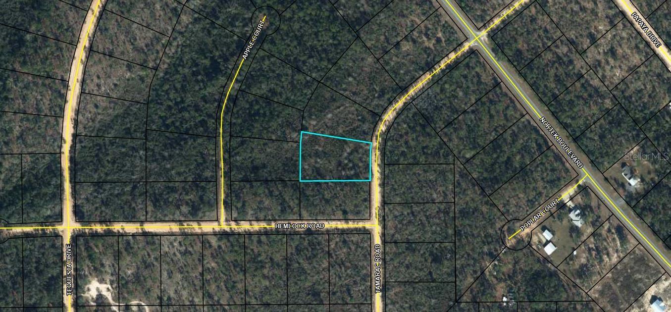 TAMARAC RD, MARIANNA, FL, 32448