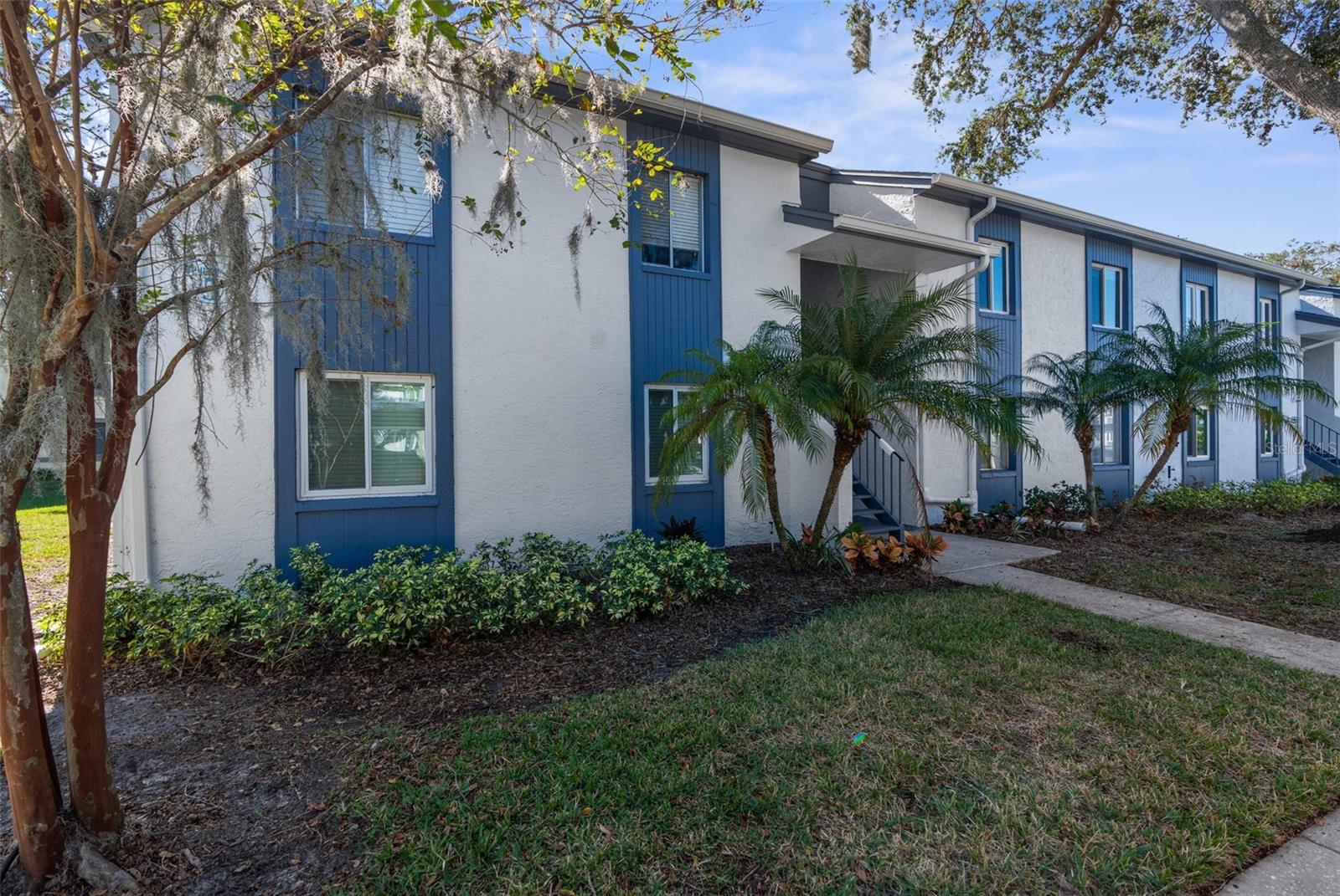204 CYPRESS LN, OLDSMAR, FL, 34677