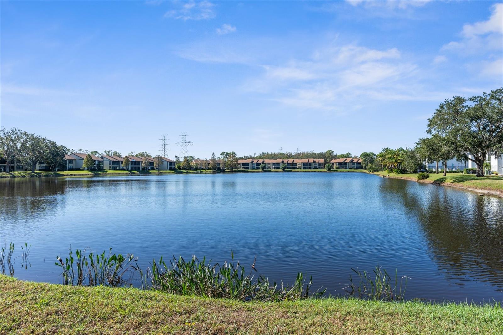 204 CYPRESS LN, OLDSMAR, FL, 34677