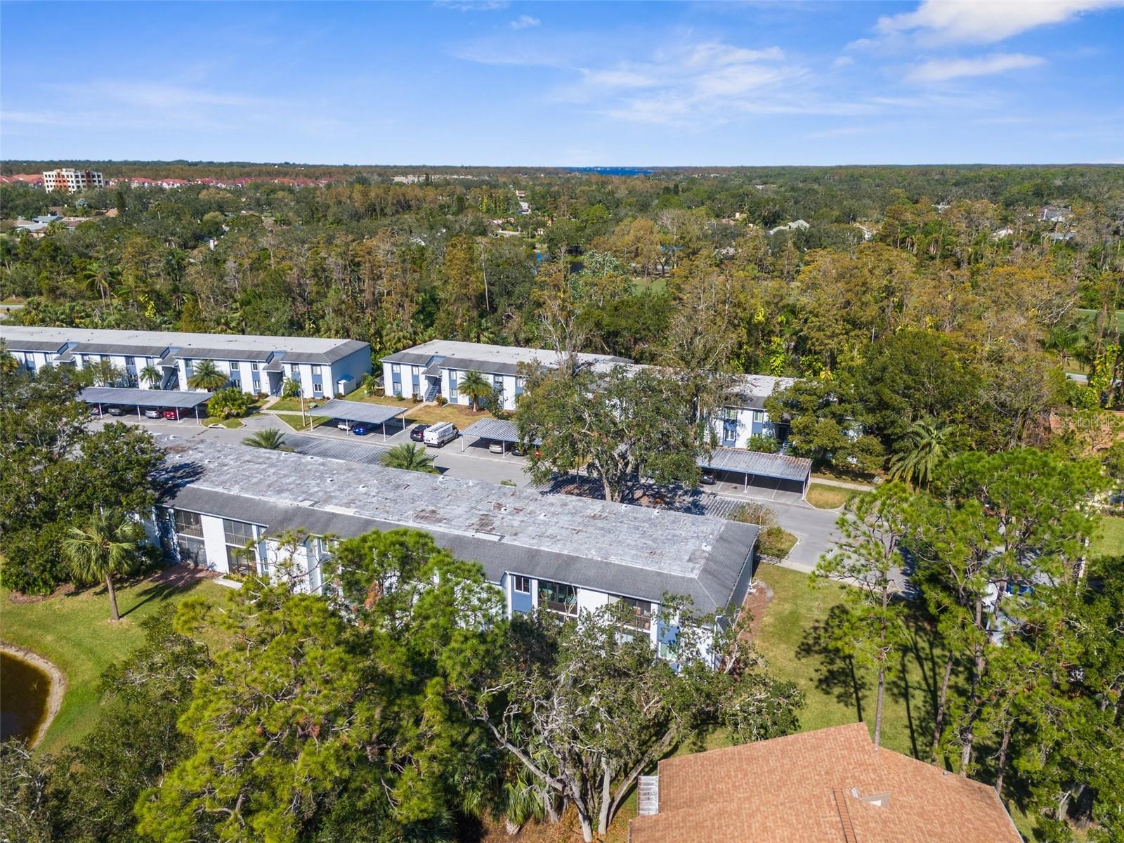 204 CYPRESS LN, OLDSMAR, FL, 34677