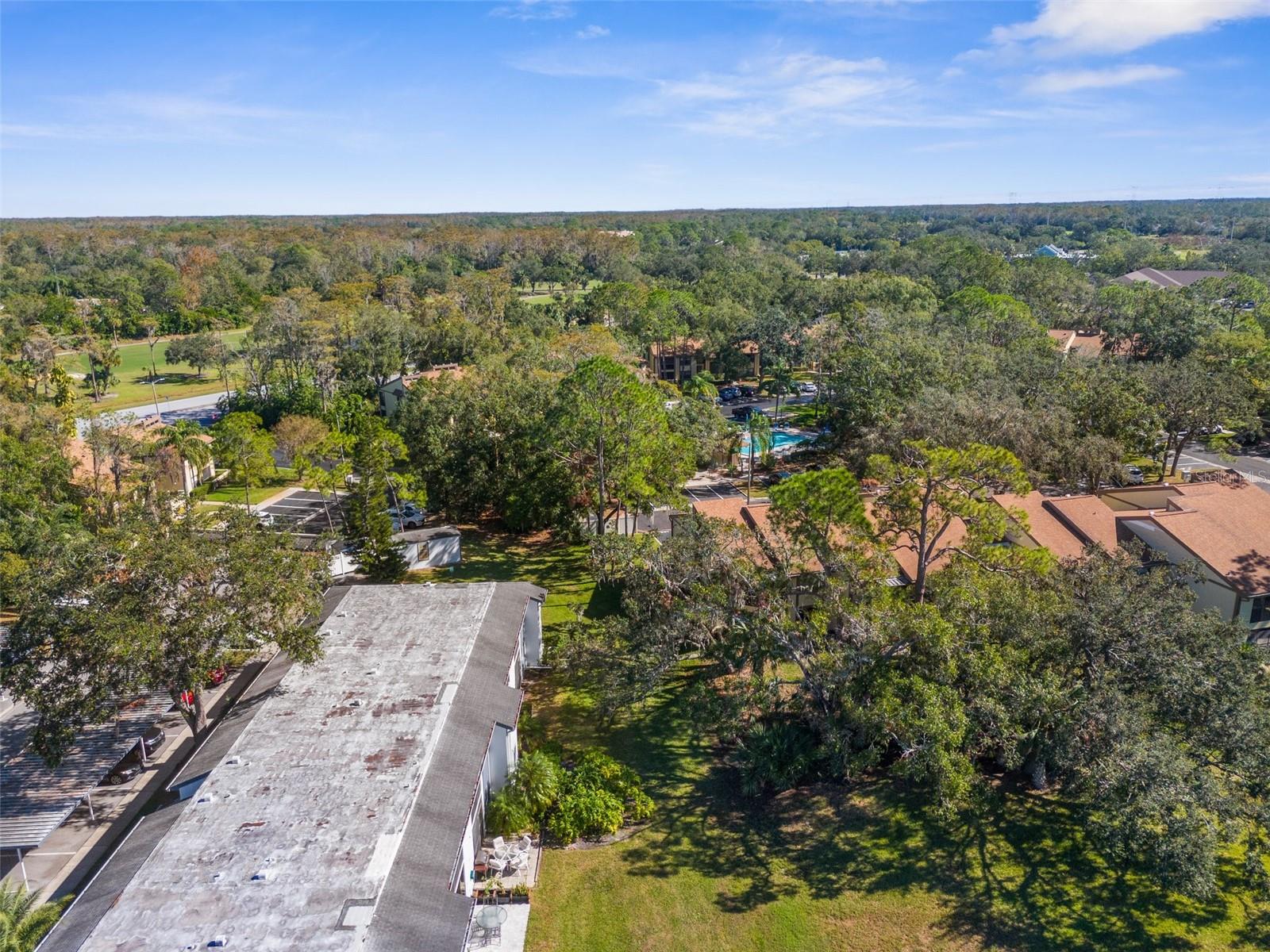 204 CYPRESS LN, OLDSMAR, FL, 34677