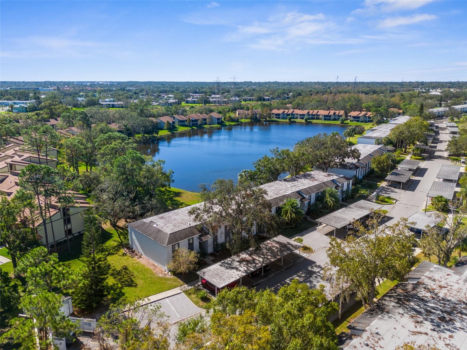 204 CYPRESS LN, OLDSMAR, FL, 34677