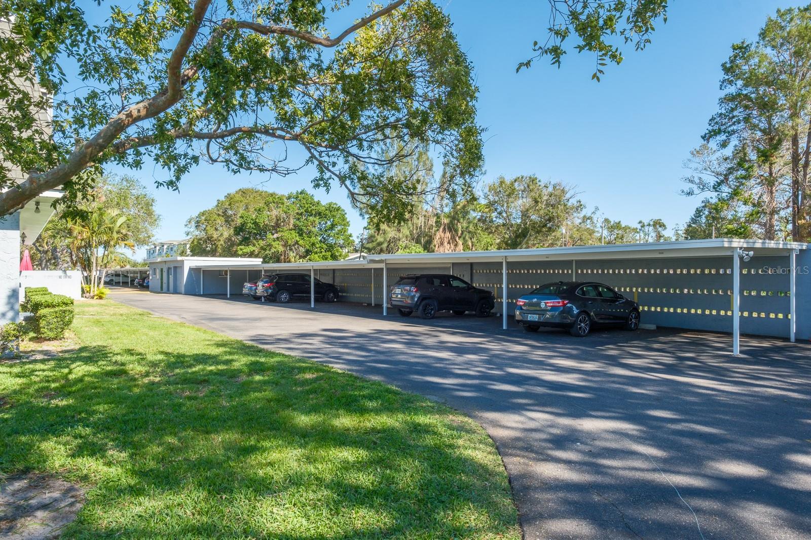 1727 BELLEAIR FOREST DR #B, BELLEAIR, FL, 33756