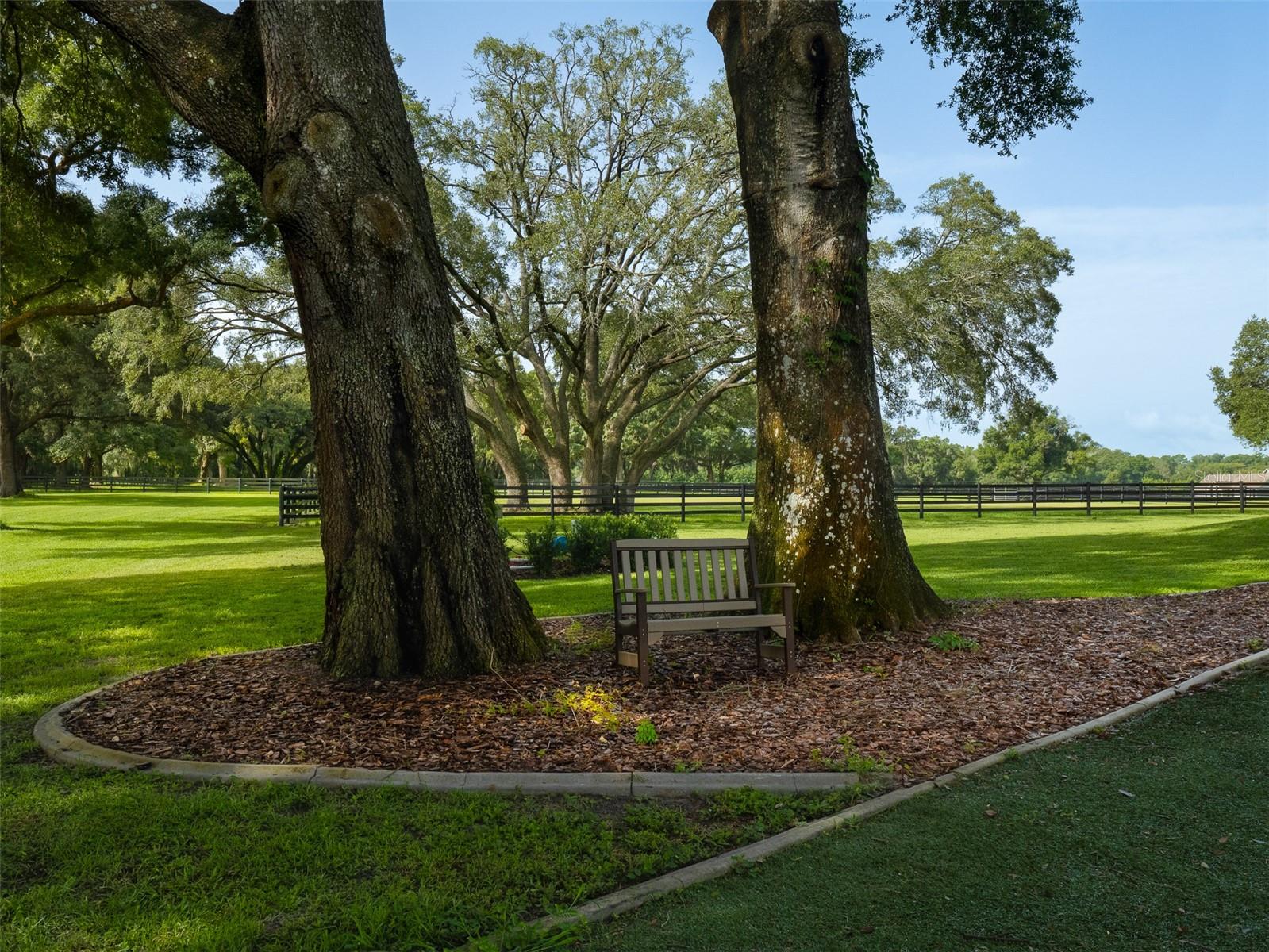 970 SW 104TH STREET RD, OCALA, FL, 34476