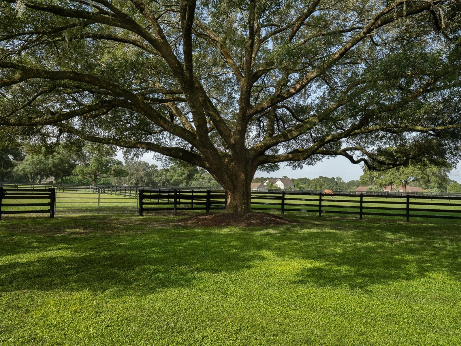 970 SW 104TH STREET RD, OCALA, FL, 34476