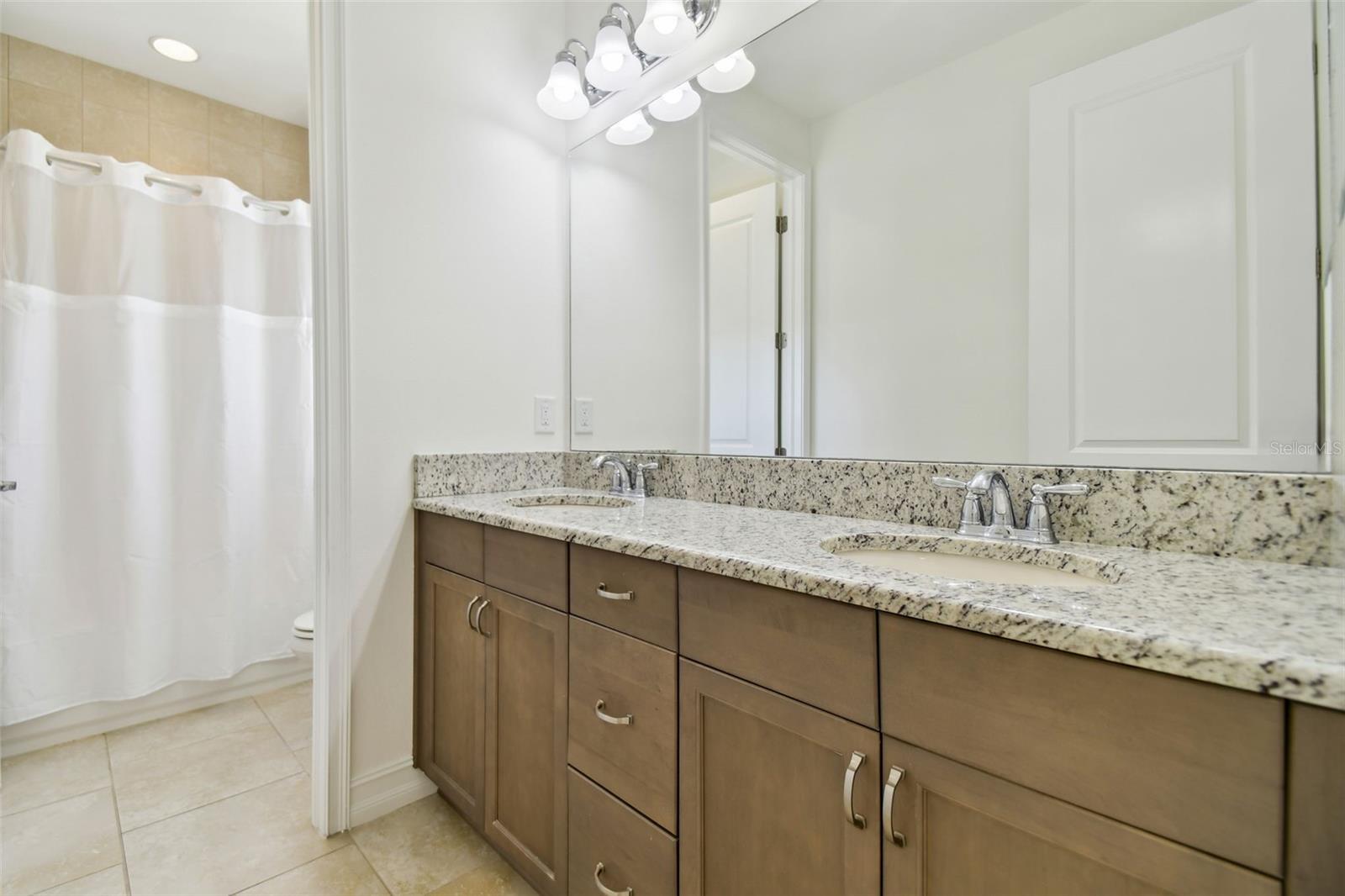 4383 ORTONA LN, WESLEY CHAPEL, FL, 33543