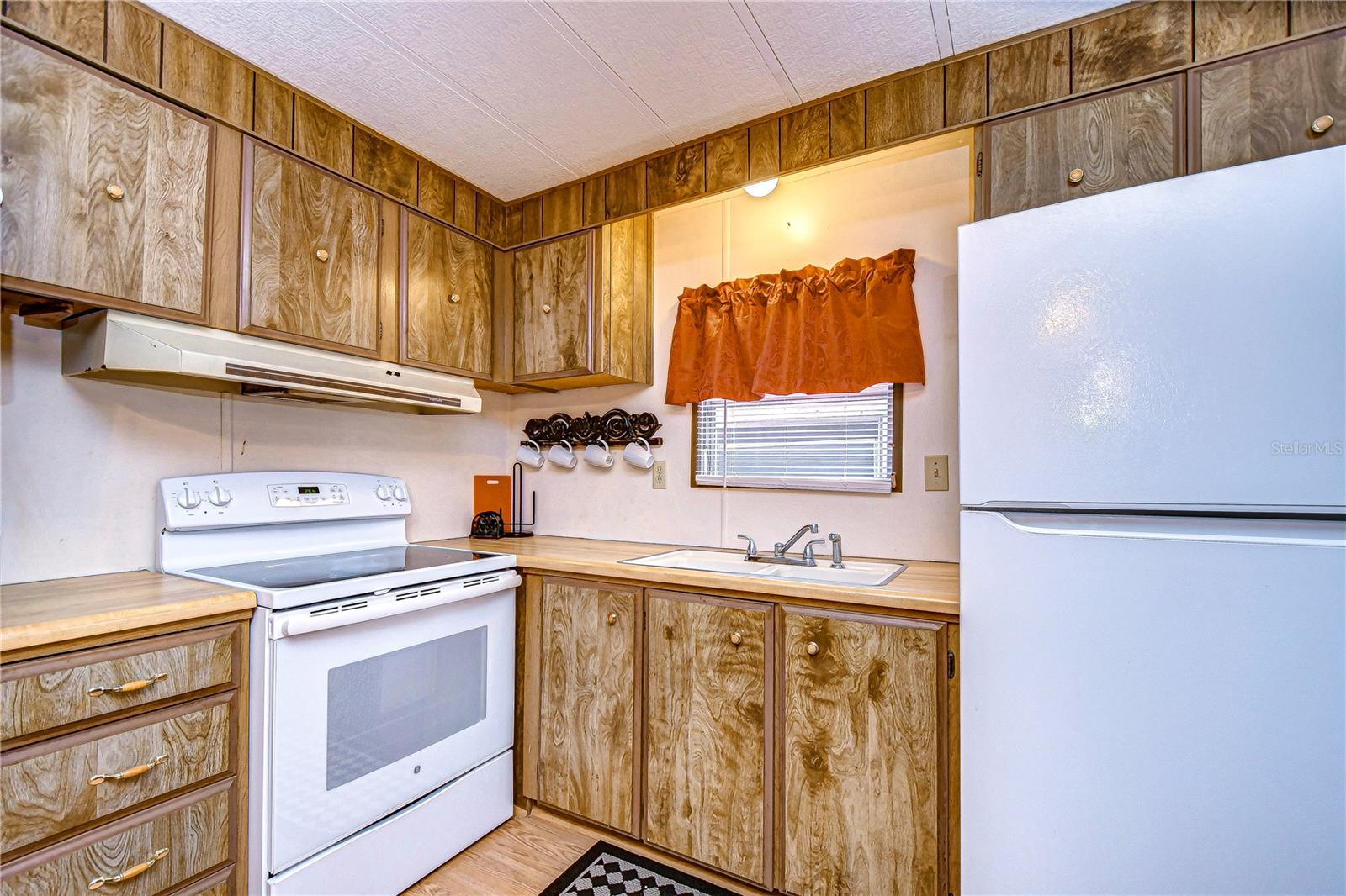 6049 MINERVA ST, ZEPHYRHILLS, FL, 33542
