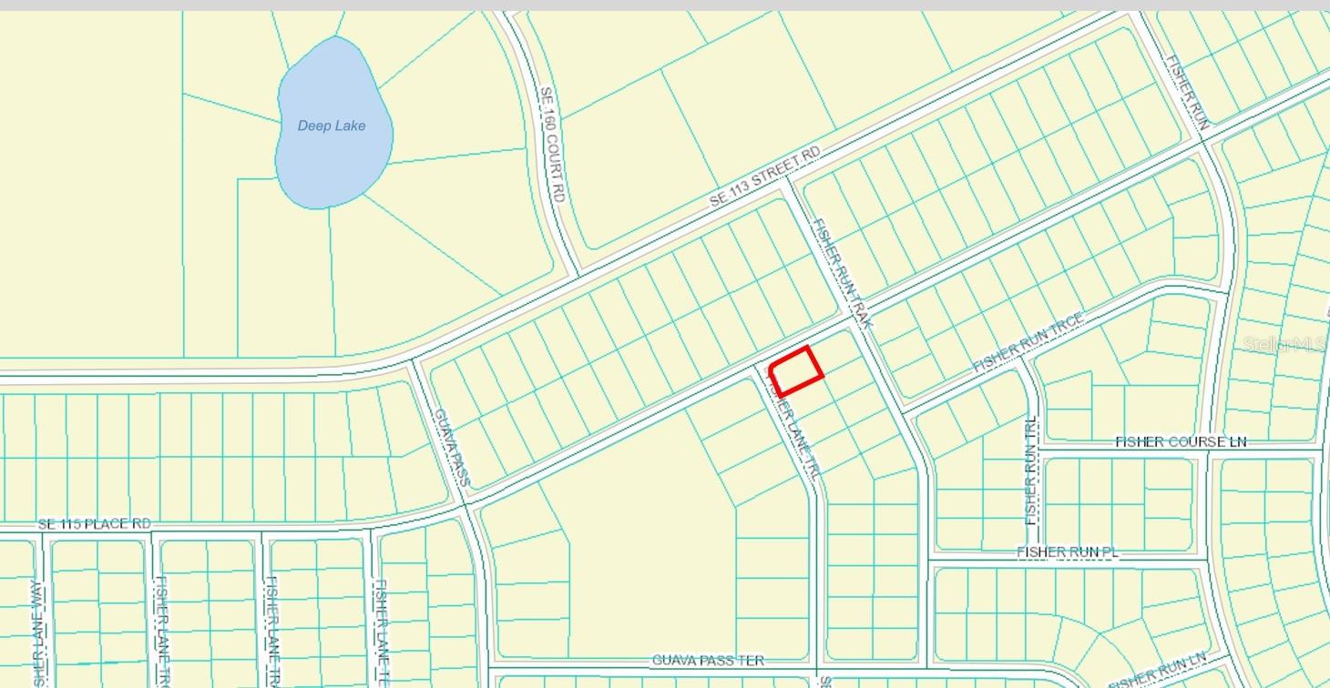 FISHER LANE TRL, OCKLAWAHA, FL, 32179