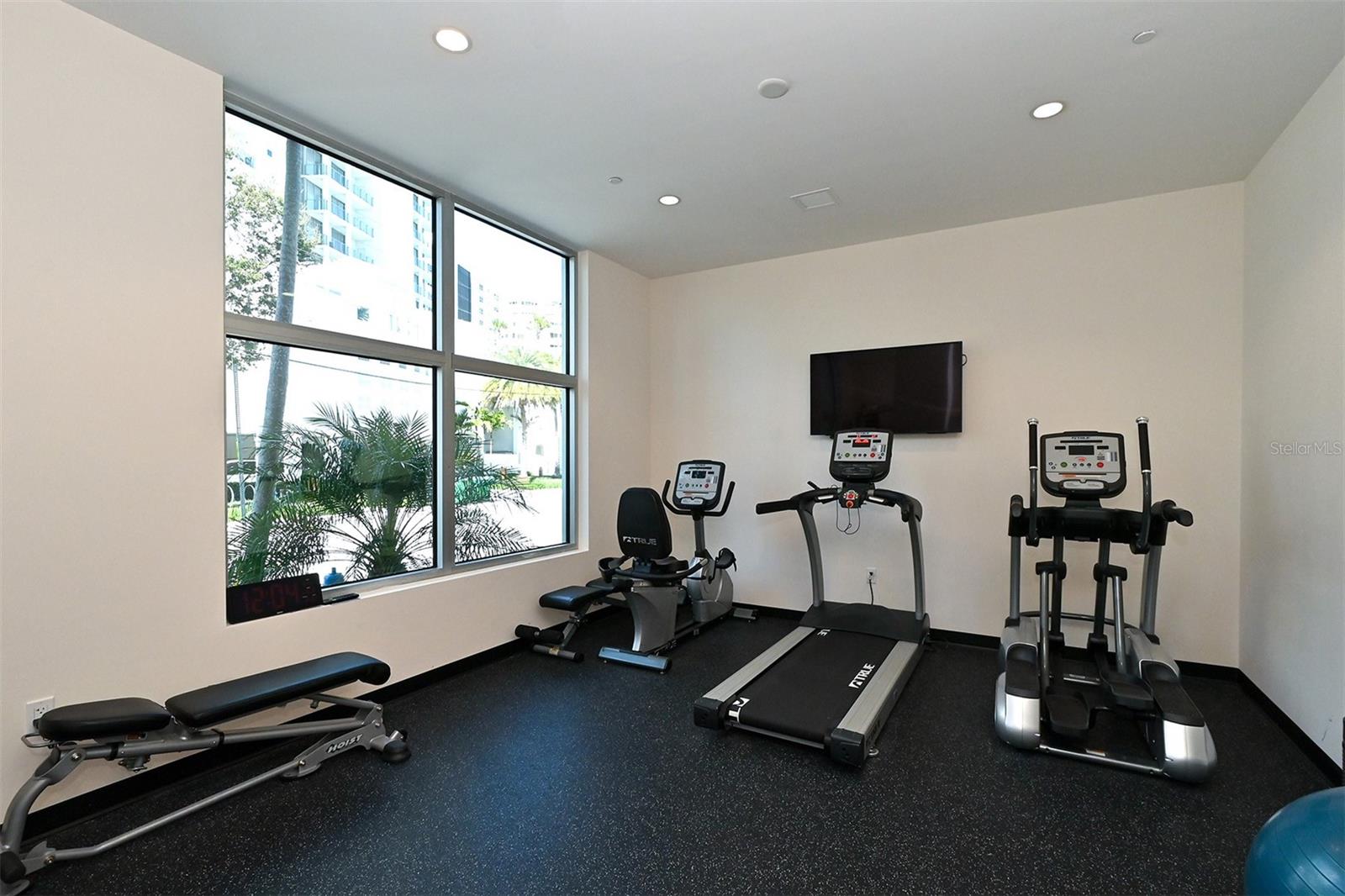 711 S PALM AVE #203, SARASOTA, FL, 34236