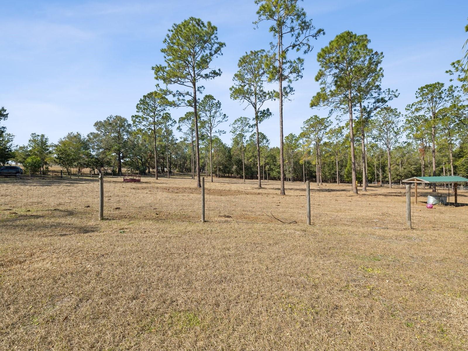 18134 POWERLINE RD, DADE CITY, FL, 33523