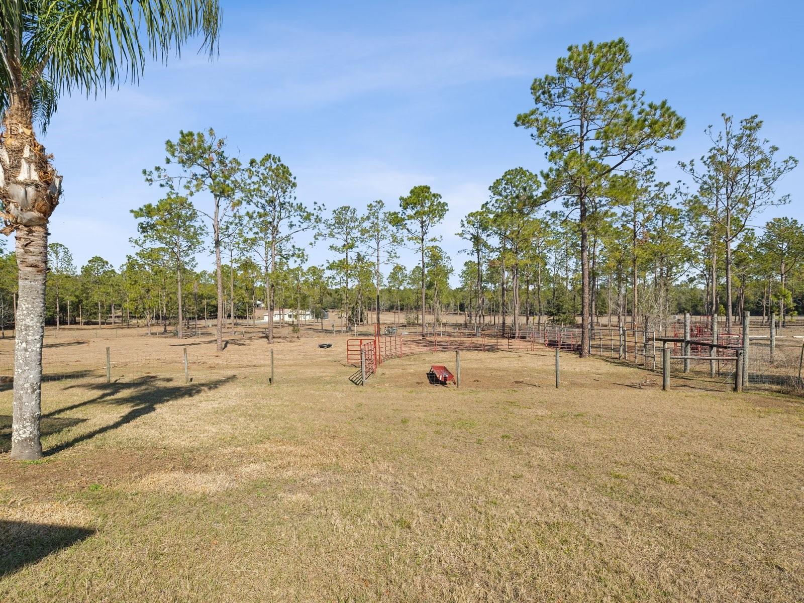 18134 POWERLINE RD, DADE CITY, FL, 33523