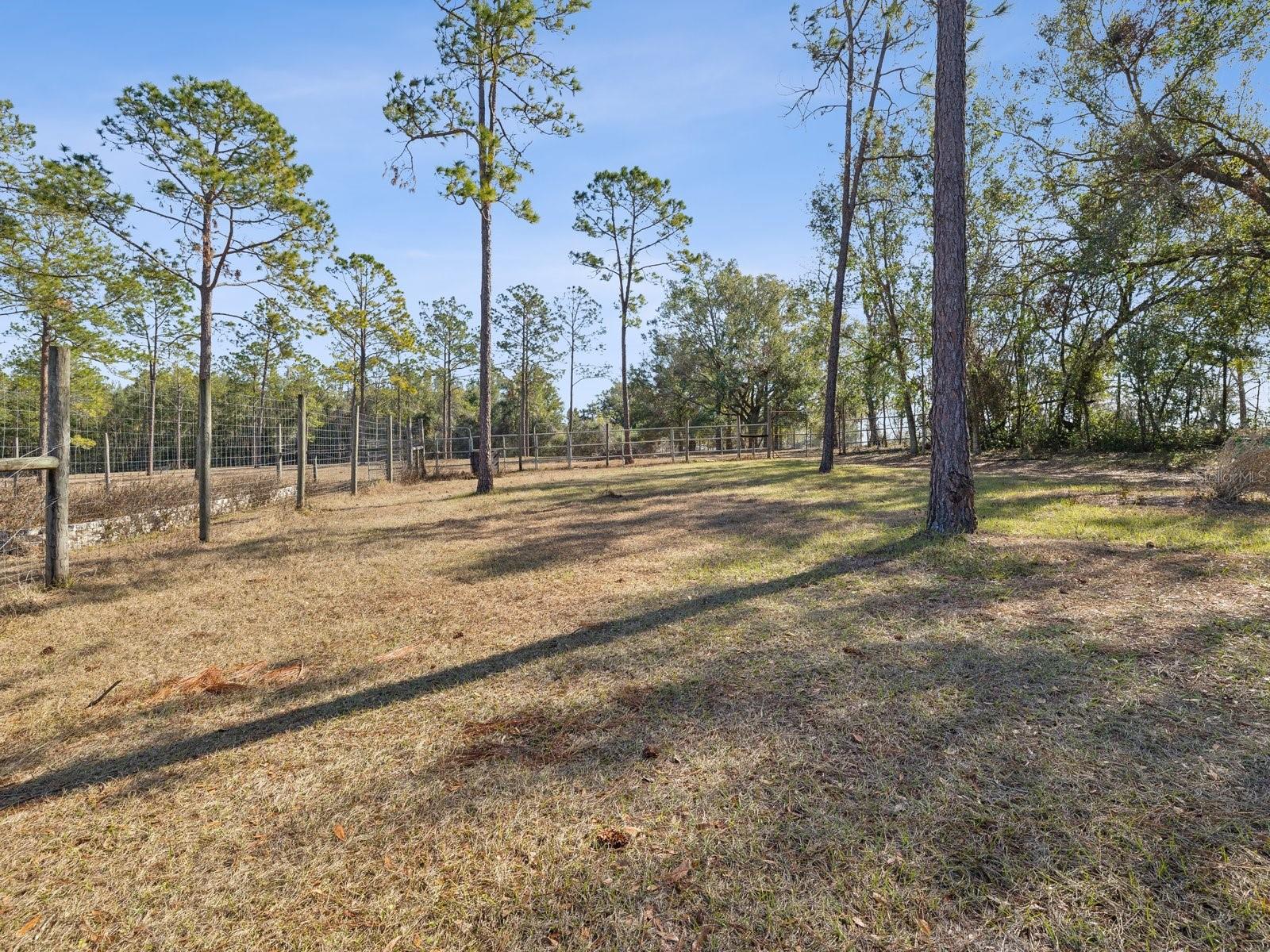 18134 POWERLINE RD, DADE CITY, FL, 33523